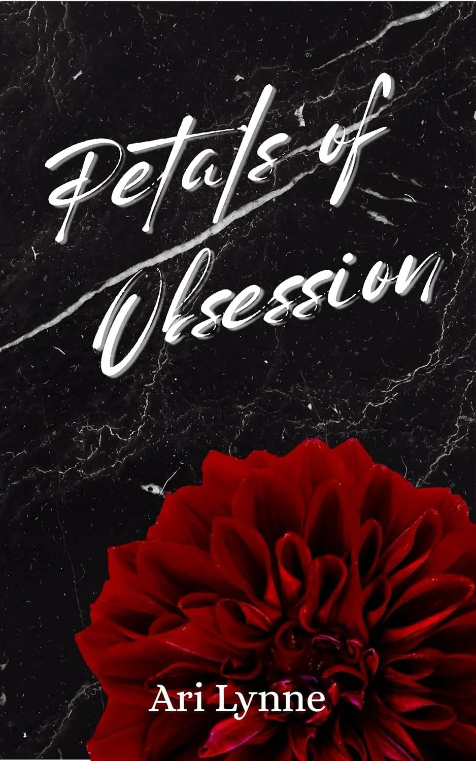 Details of Obsession by Ari Lynne, Romance book cover on IndieFiction