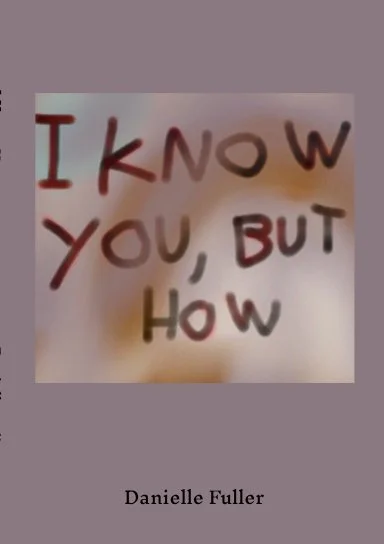 I Know You, But How by Danielle Fuller, Literary Fiction book cover on IndieFiction